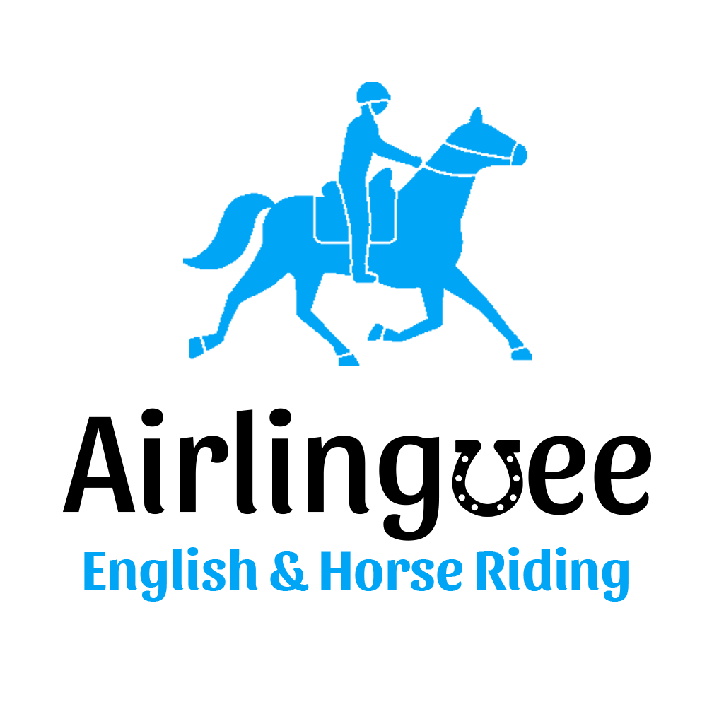English and equestrian camps in ireland