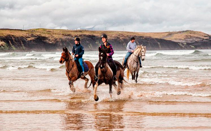 English and Equestrian Horse Riding Camp Ireland excursion