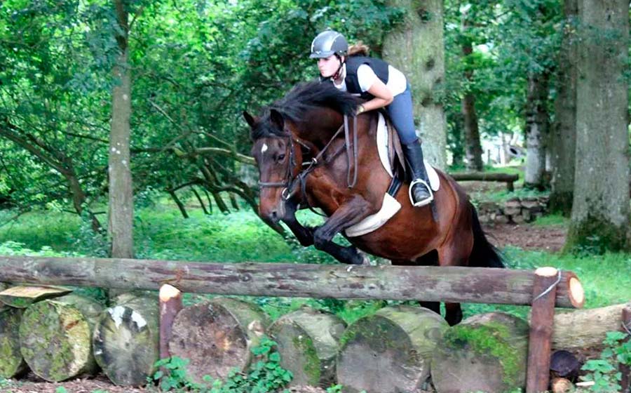 Intensive Equestrian Horse Riding In Ireland camps