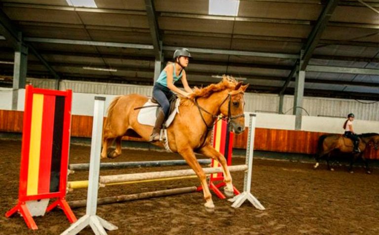 facilities-for-leveled-horse-riding-and-english-camp-ireland