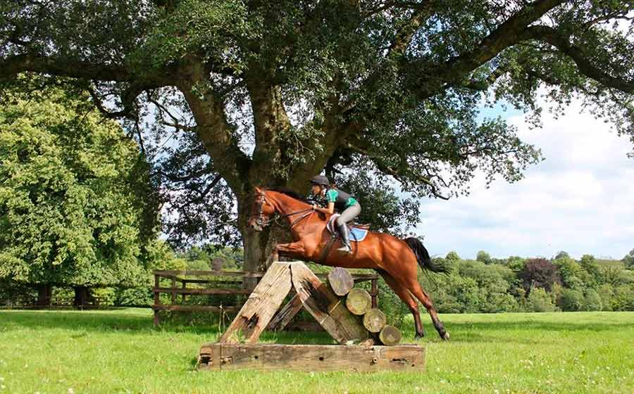 fields activity at Intensive Equestrian Horse Riding in Ireland