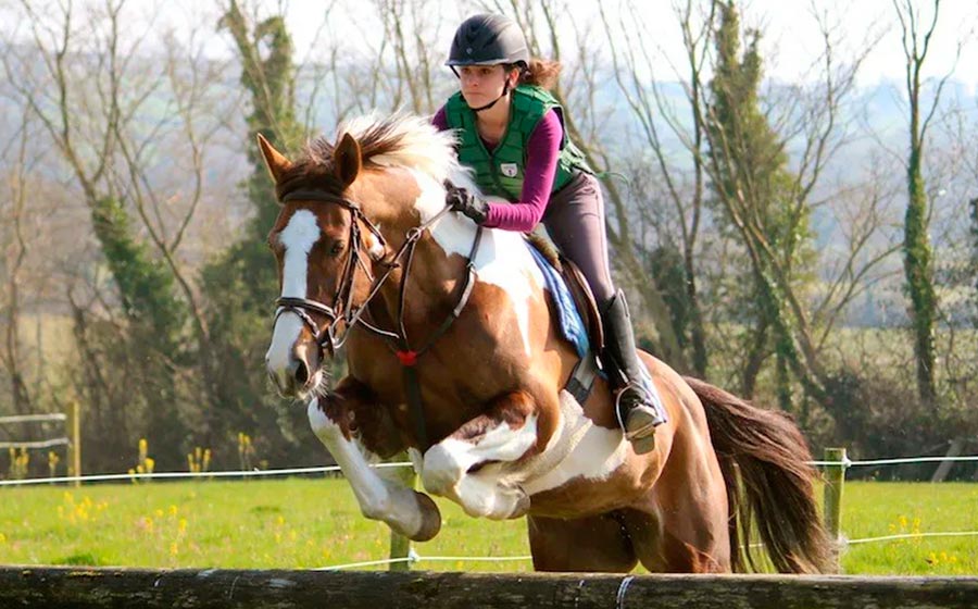 horse riding lessons intensive equestrian camps ireland