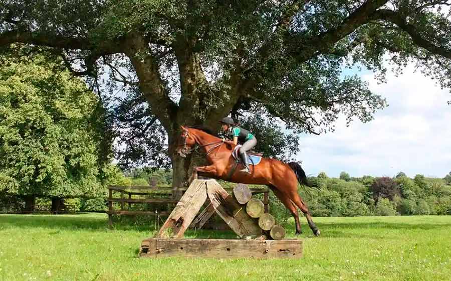 jumping lessons at intensive equestrian camps ireland