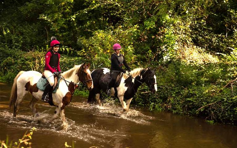 ride along the river with horses