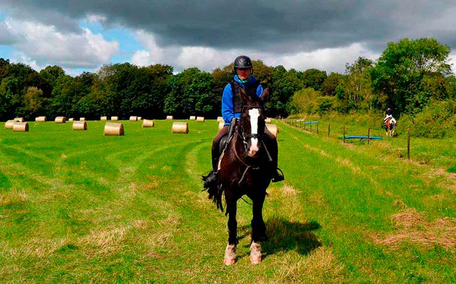 campo-practicas-Equitación-para-Jóvenes-Irlanda