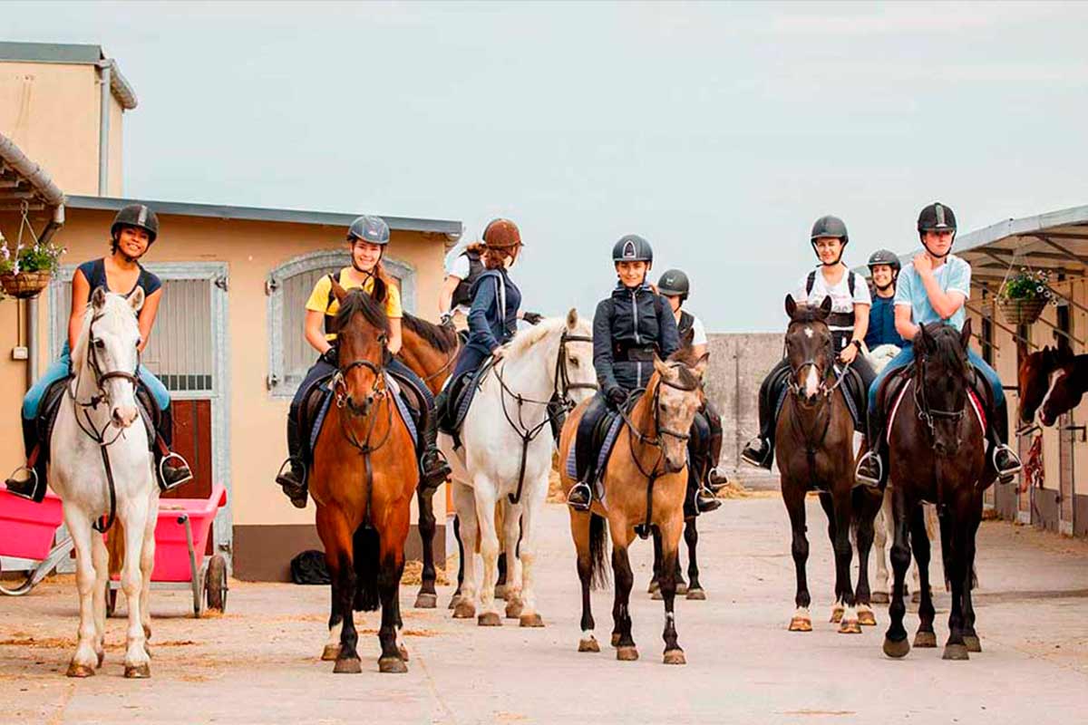 horse riding and english camps in ireland