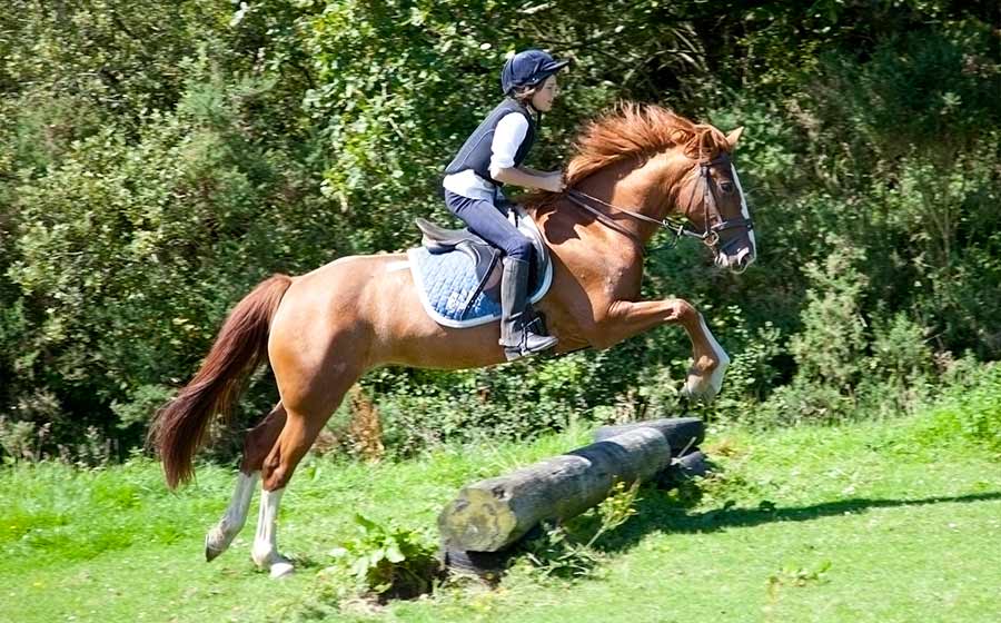 horseback ridding and english camp ireland program