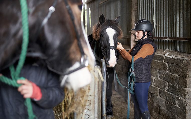 jinete preparando a caballo en establo de equitacion para jovenes irlanda