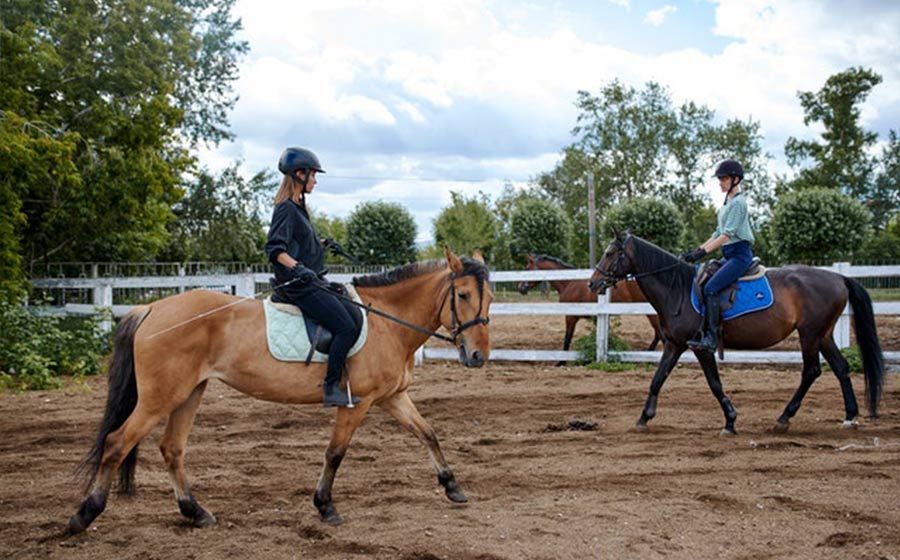 jumping arena Horse Riding classes Junior Equestrian Camp Ireland