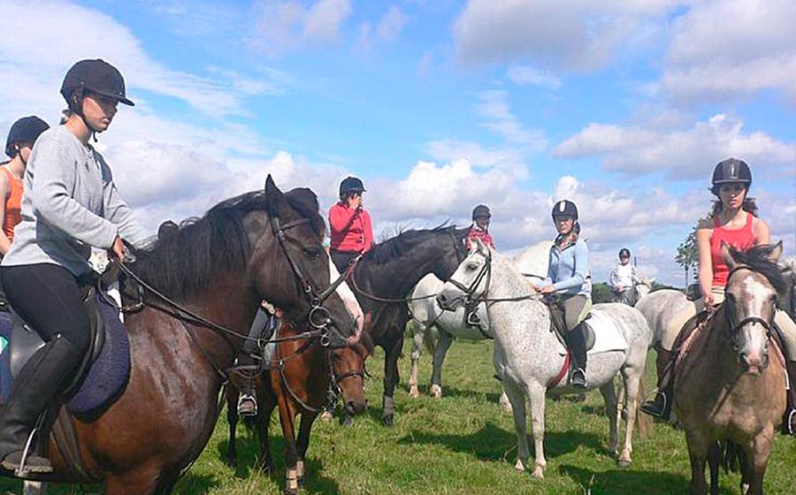 crosscountry junior equestrian camp ireland