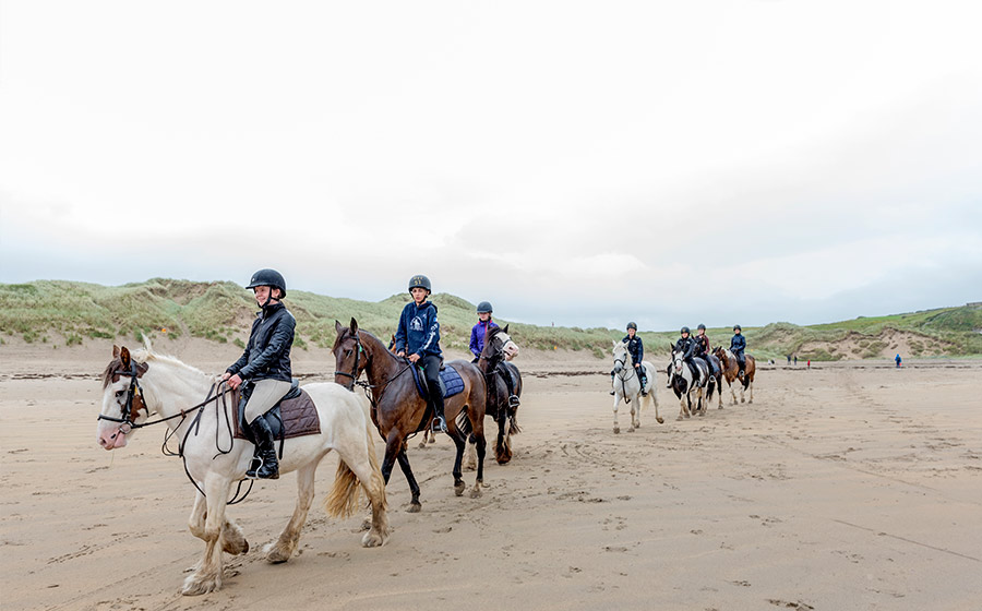 Beach Riding Hacks Young Adult Equestrian Camps Ireland