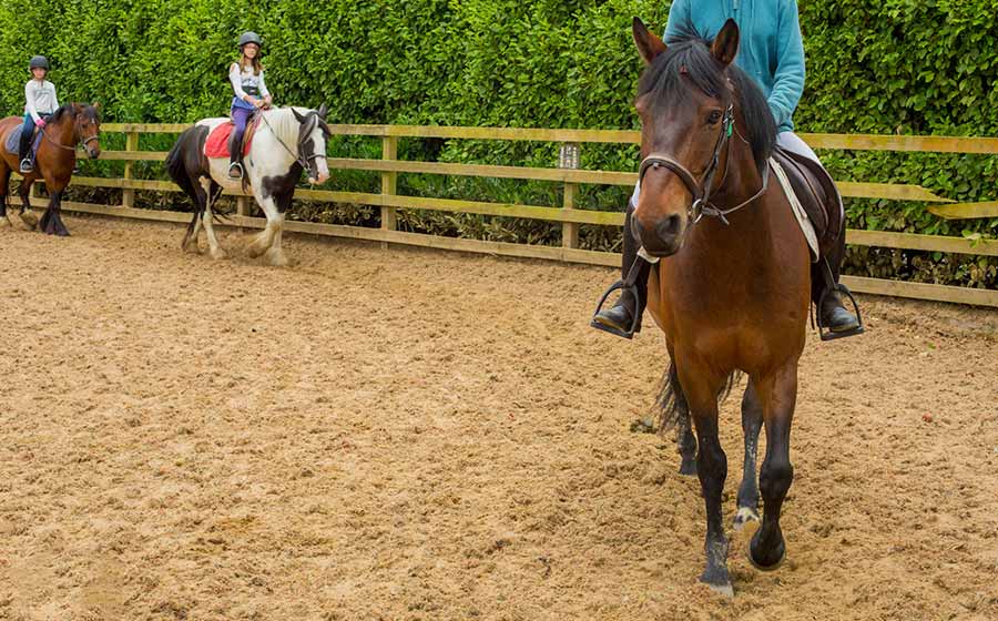 Clases de montar a caballo en inglés Campamento Horseball para Jóvenes en Irlanda