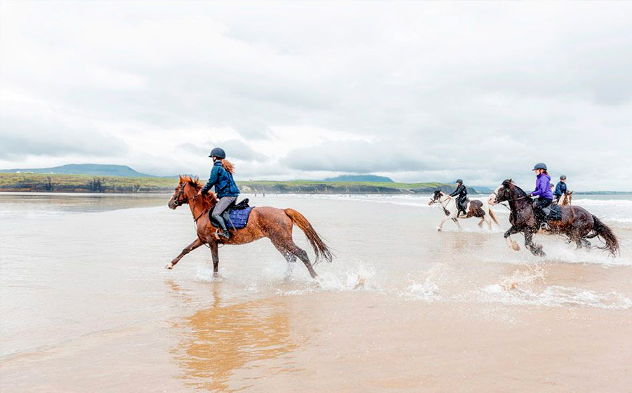 Equestrian Horse Riding courses Ireland