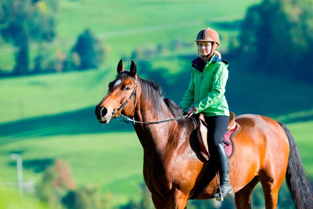 Equitacion-para-adultos-en-Irlanda en campo irlandes