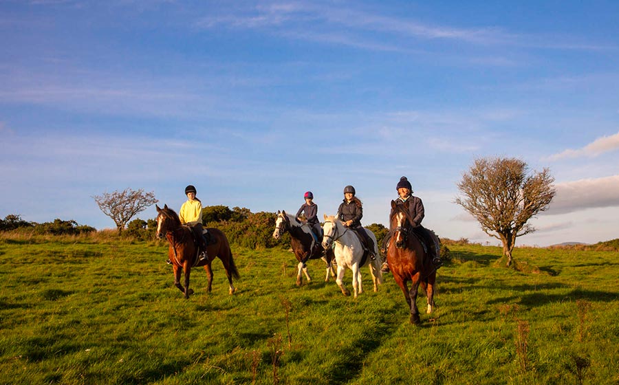 Group of Horse Riders Equestrian horse riding hacks and trekking in Ireland