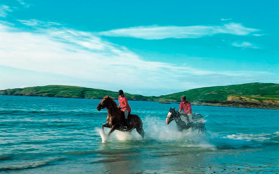 Horse Riding Hacks Young Adult Riders in Ireland