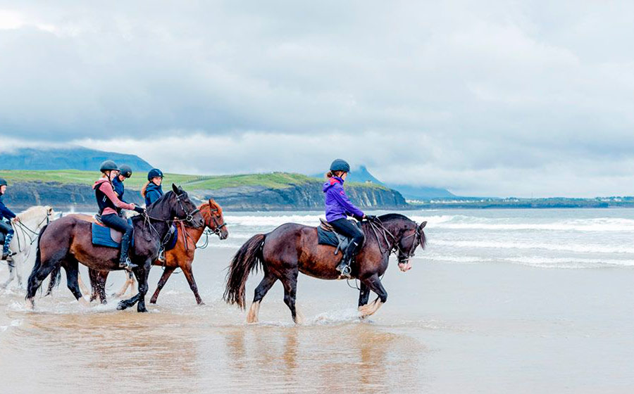 Horse Riding Holidays and English classes in Ireland