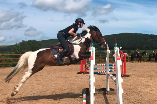 Rider jumping fences on specialized Competitive Show Jumping Course Ireland