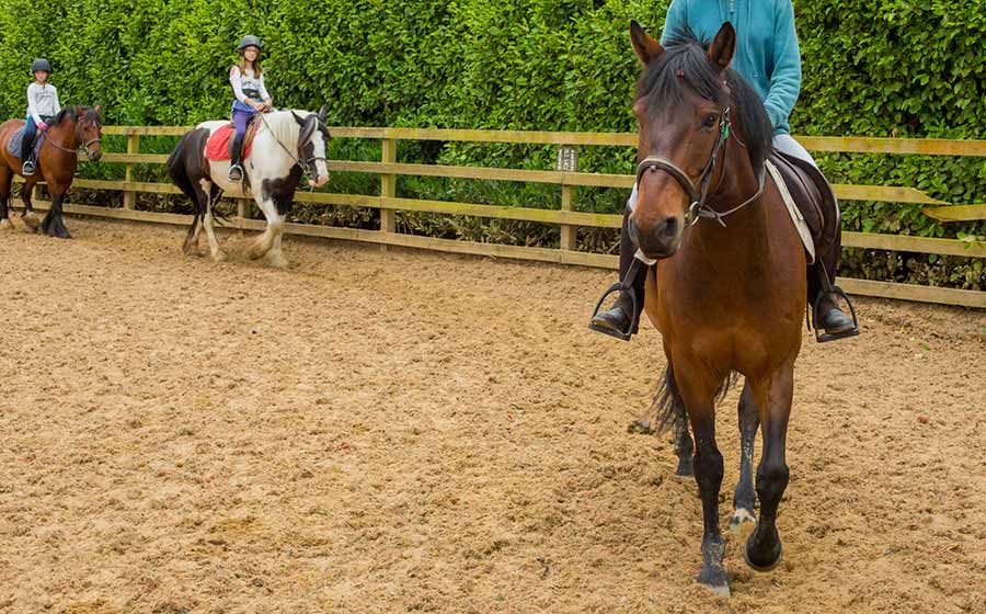 Riding Lesson Equestrian Horseball Camp Irela