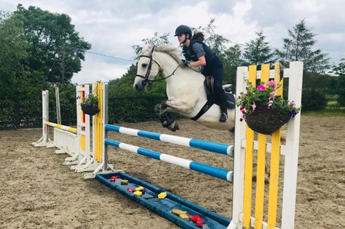Specialized Competitive Show Jumping Course Ireland