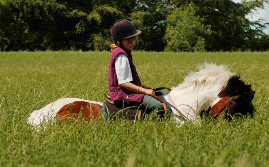 equestrian horse riding hacks ireland tracks