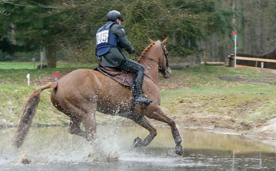 equestrian horse riding hacks ireland events