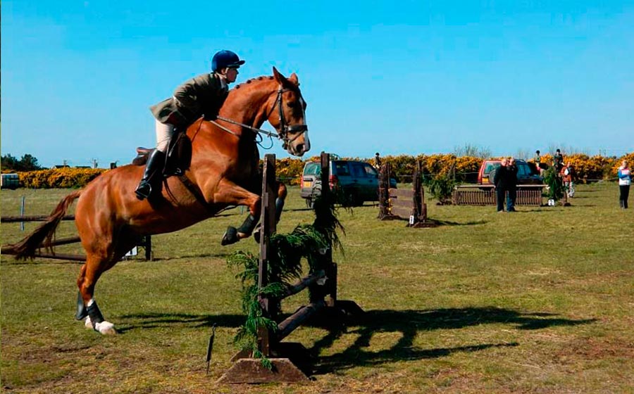 equestrian horse riding hacks ireland tracks