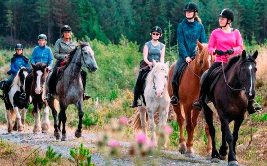 excursions at equestrian horse riding hacks ireland
