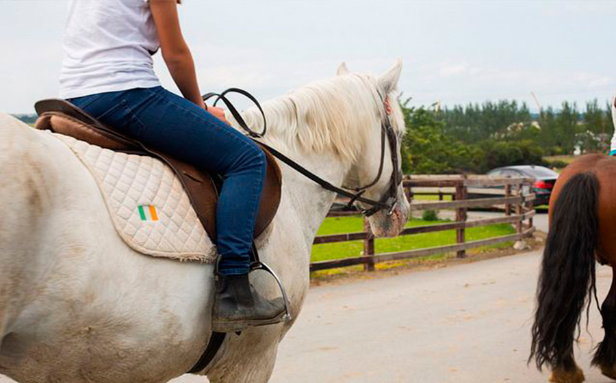 horse rider with white horse at equestrian horseball camp ireland