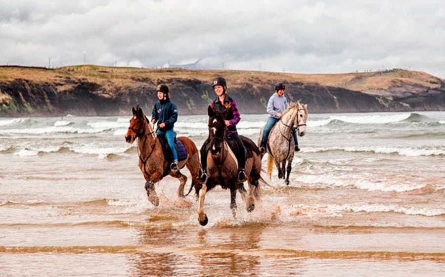 travel to ireland adult equestrian camps