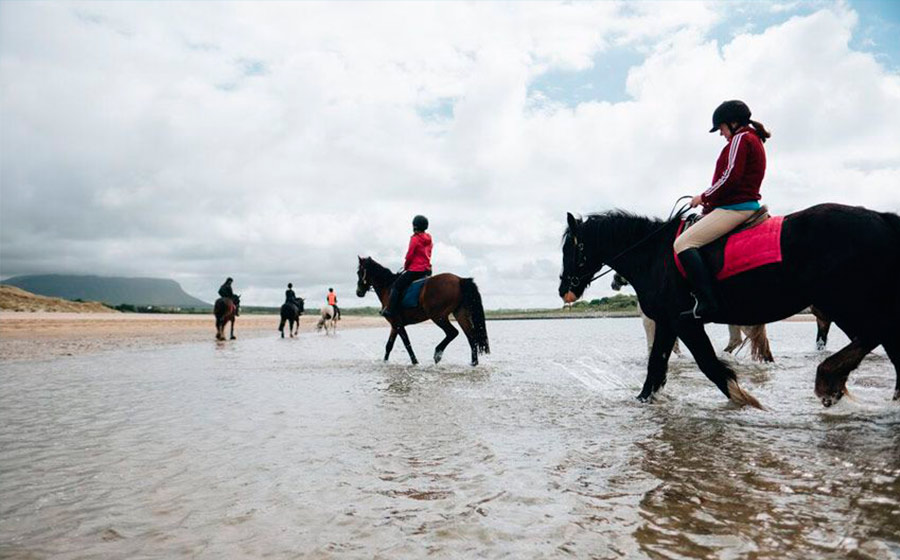 young adult equestrian camp ireland beach riding