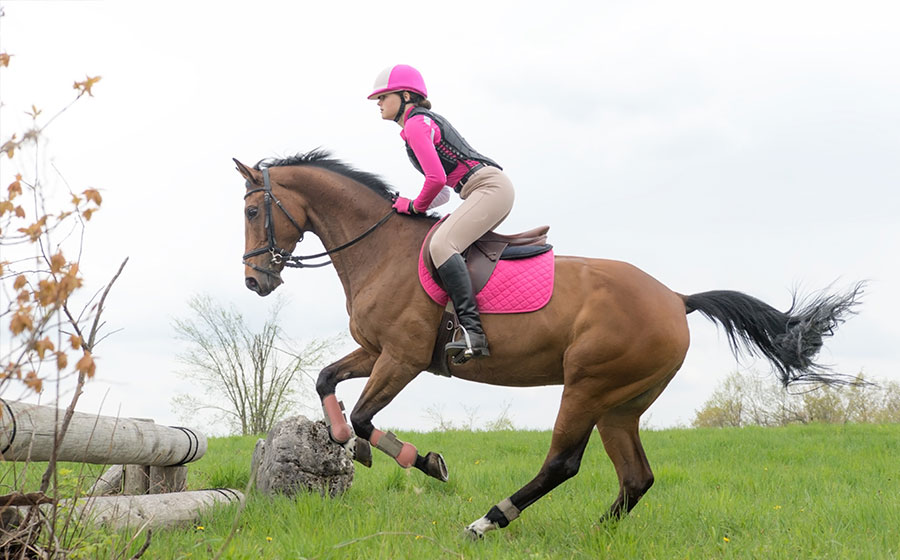 Cross Country Eventing Adult Equestrian Horse Riding in Ireland