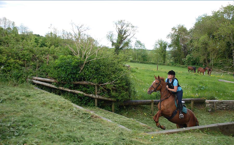 Cross Country Jumping _ Eventing Adult Equestrian Horse Riding in Ireland