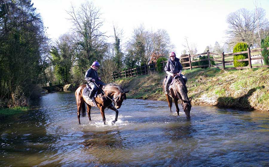 Cross y Eventing Montar a caballo en Irlanda