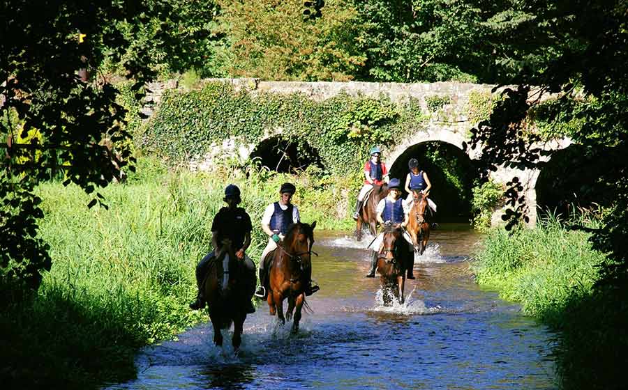 Excursiones y Rutas a Caballo Montar a caballo en Irlanda