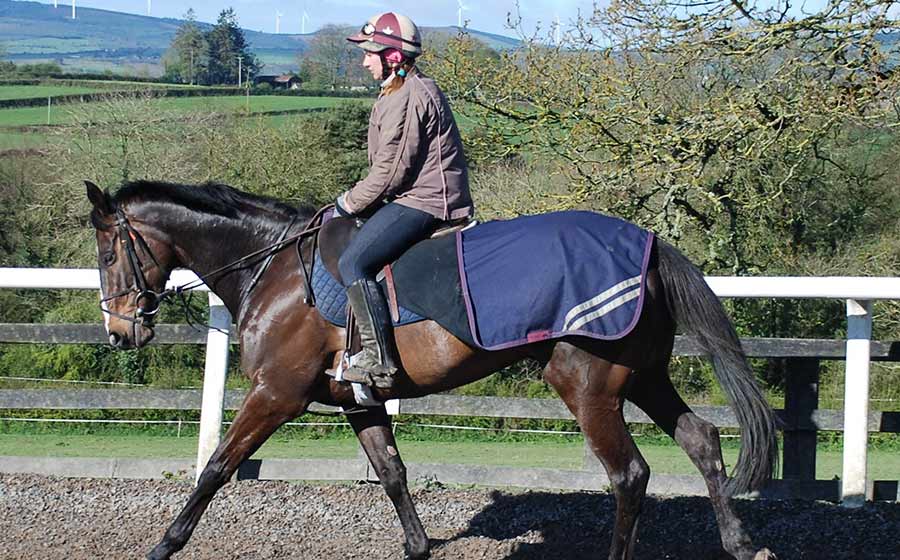 Jockeys Training Adult Equestrian Horse Riding in Ireland