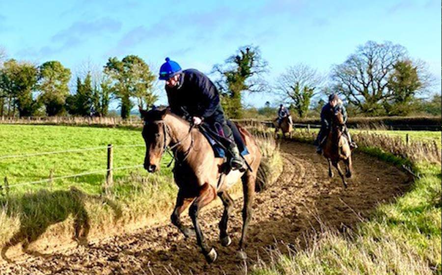Pista de entrenamiento de Caballos de Pura Raza Montar a caballo en Irlanda