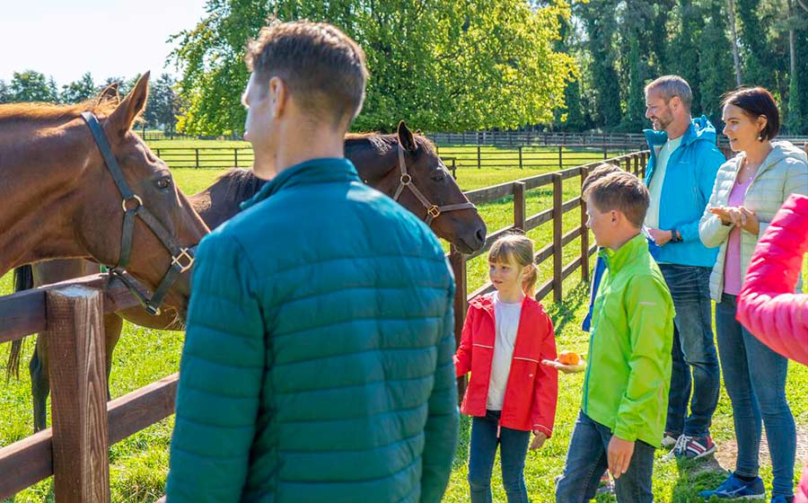 Vacaciones Montar a caballo en Irlanda para Familias