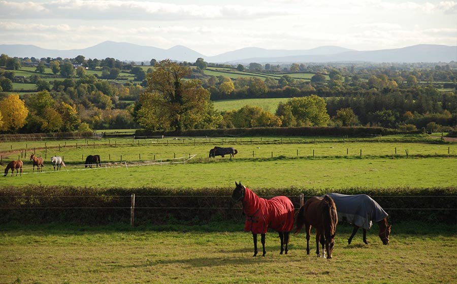instalaciones Montar a caballo en Irlanda