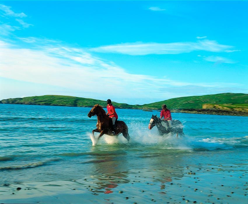 Cours d'équitation pour adultes en Irlande