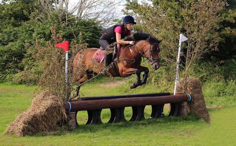 Manège extérieur de saut d_obstacles-Colonie Equitation et Anglais en Irlande