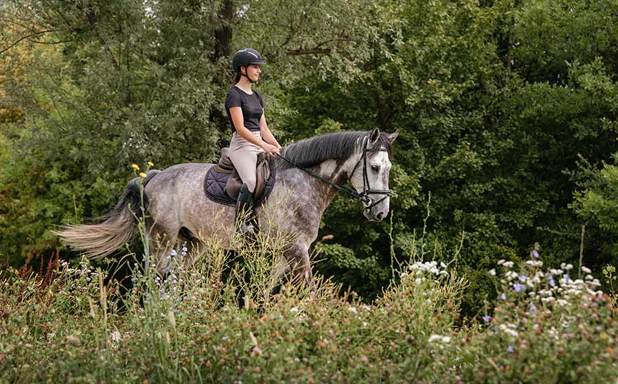 Un jinete disfrutando de un paseo a caballo en Irlanda