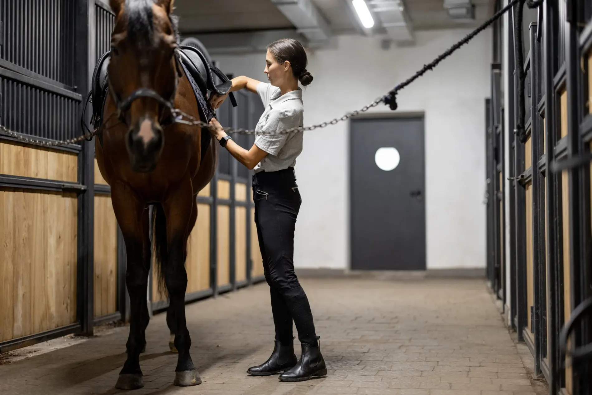 Equestrian Working Student Ireland