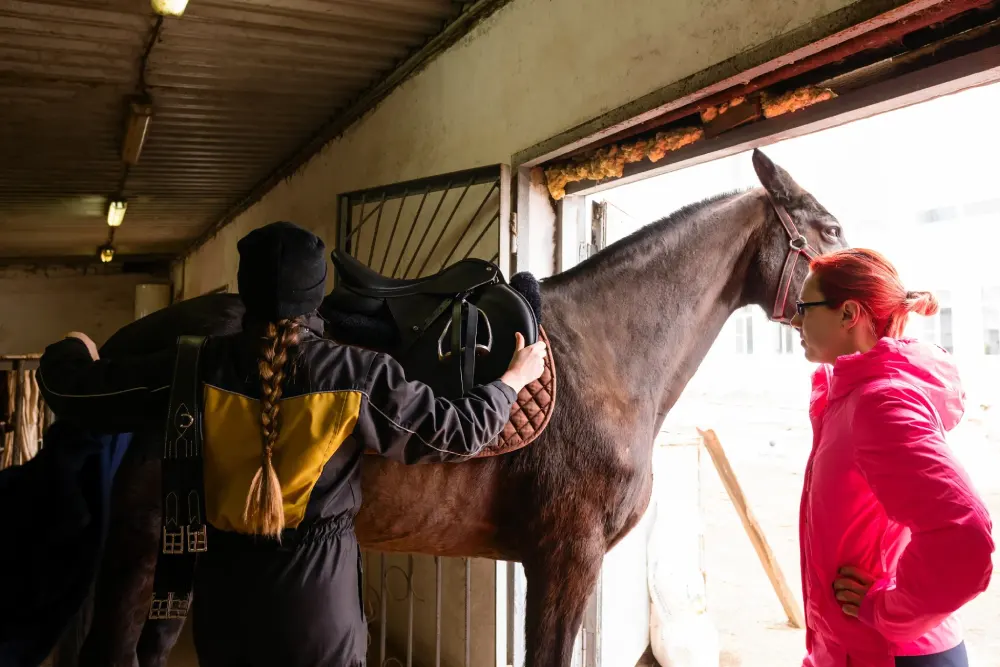 equine professional at equestrian center in ireland
